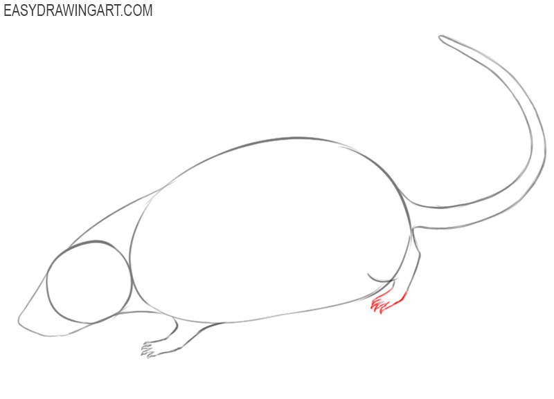 how to draw a rat drawing