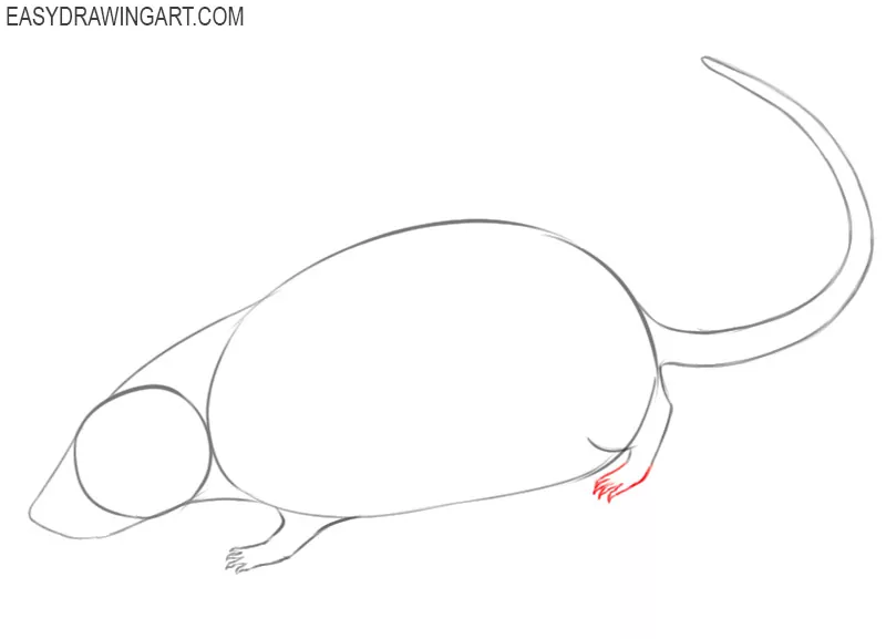 how to draw a rat drawing