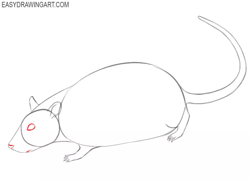 Happy Rat Drawing for Kids: Minimalistic Black and White Line Art Stock  Illustration - Illustration of domaradzki, artwork: 287432448
