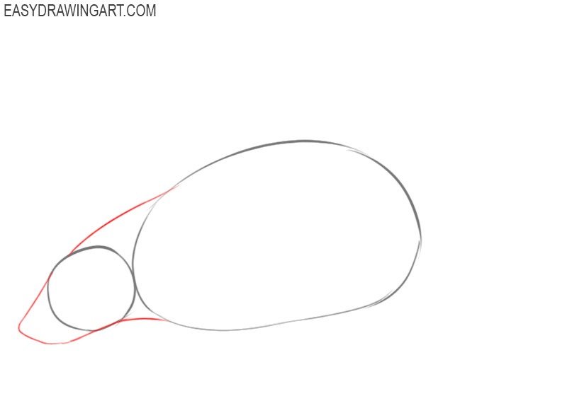 how to draw a rat step by step