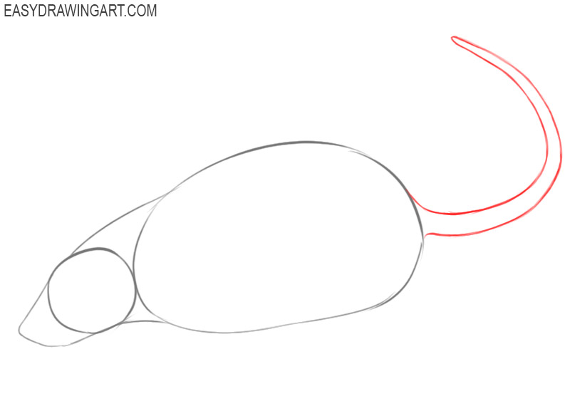 how to draw a rat art