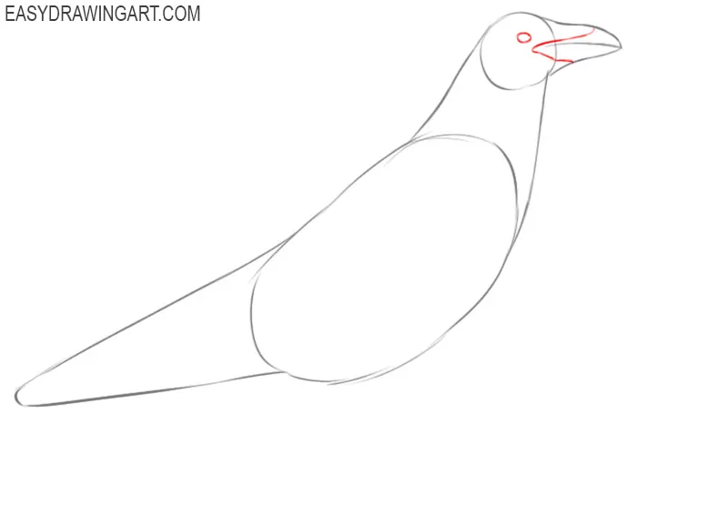 how to draw a raven step by step easy