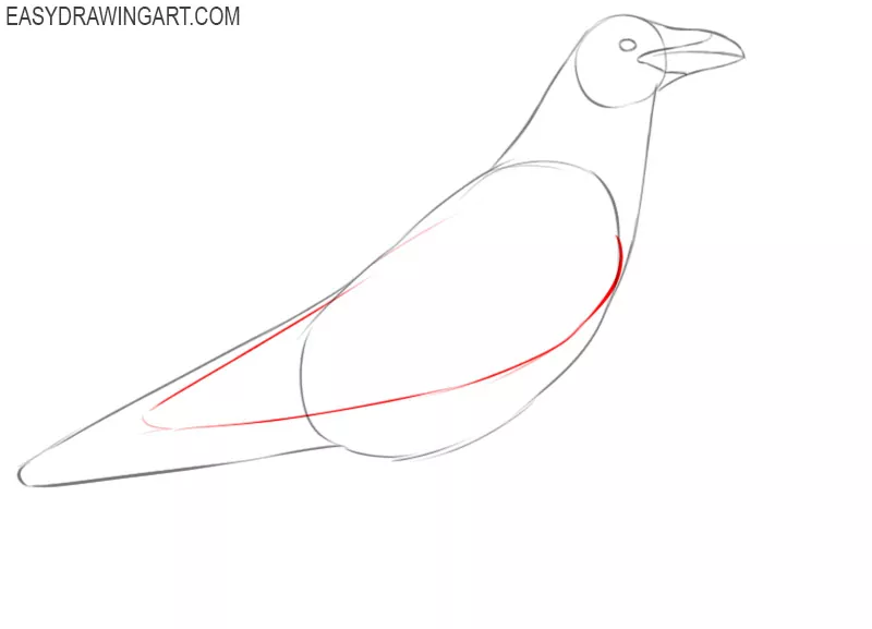 how to draw raven cute