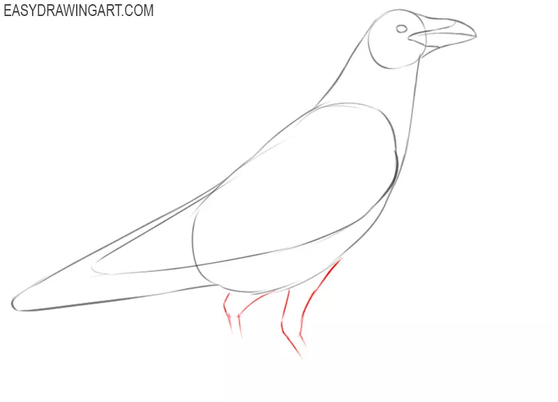 how to draw a realistic raven