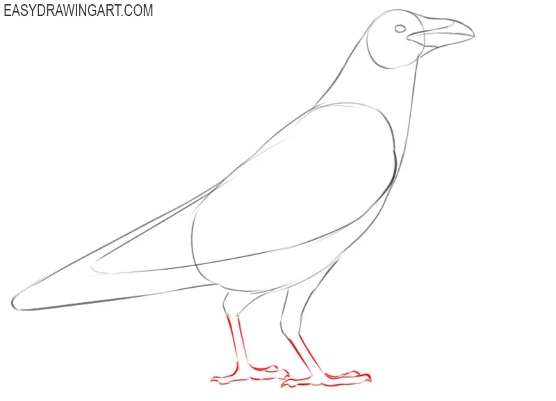 raven drawing easy