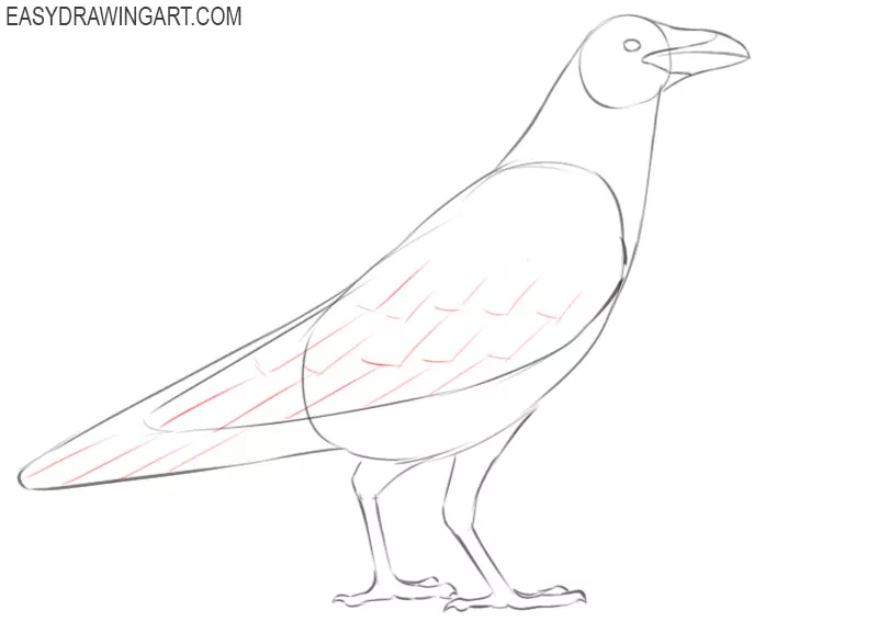 raven drawing images