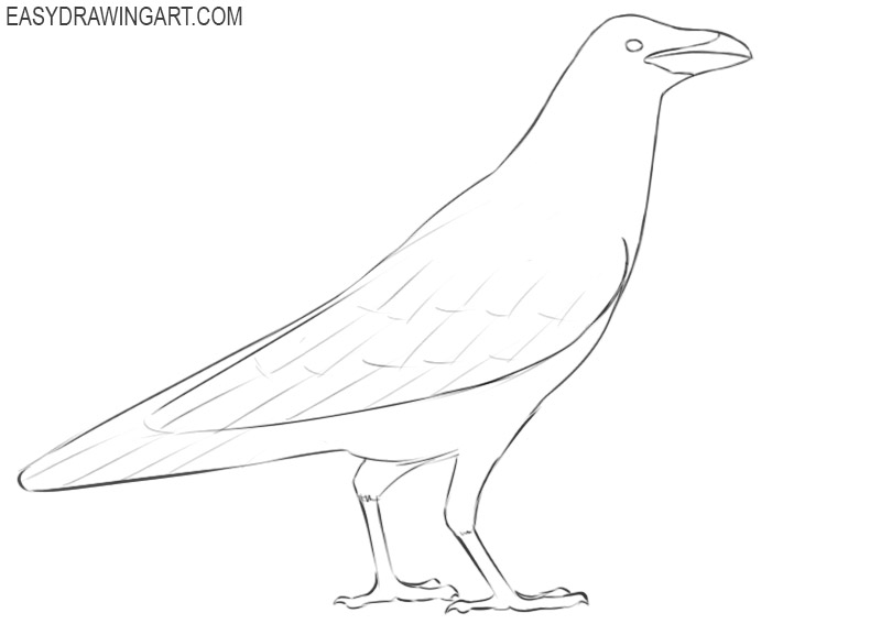 raven drawing simple
