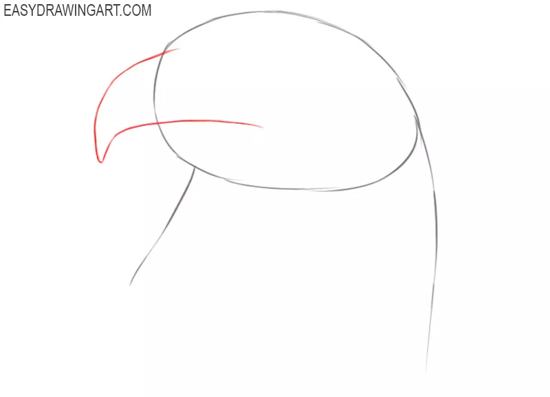 how to draw a realistic eagle head step by step