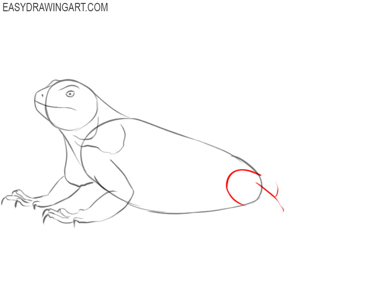 how to draw a realistic iguana step by step