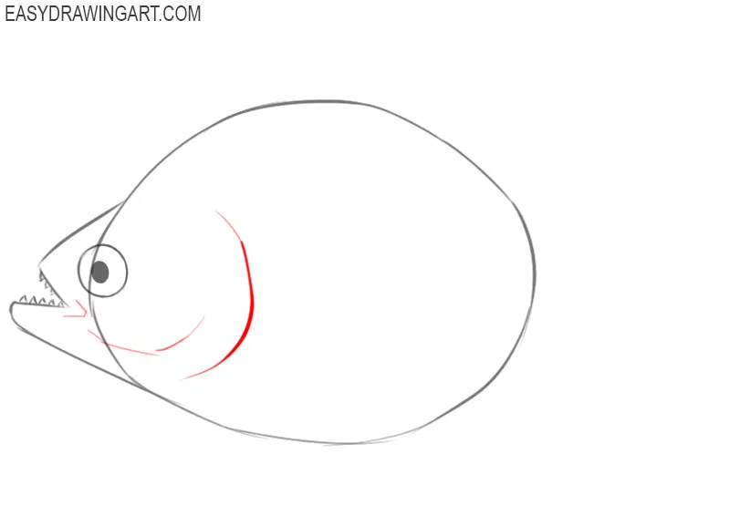 how to draw a realistic piranha