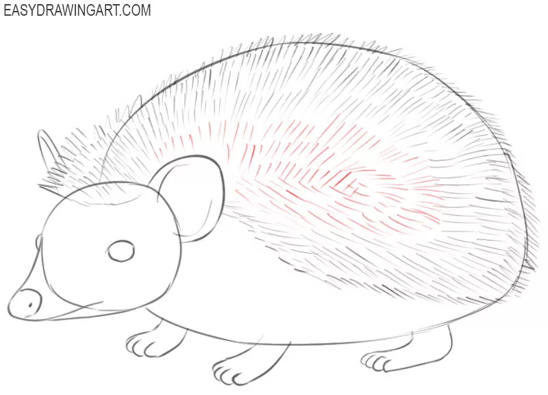 how to draw a really cute hedgehog 