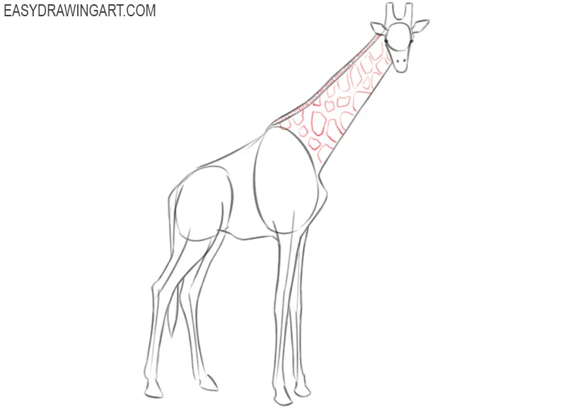 how to draw a really good giraffe
