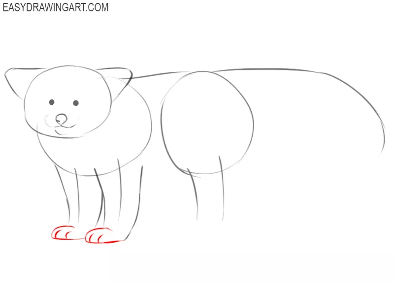 how to draw a red panda cartoon