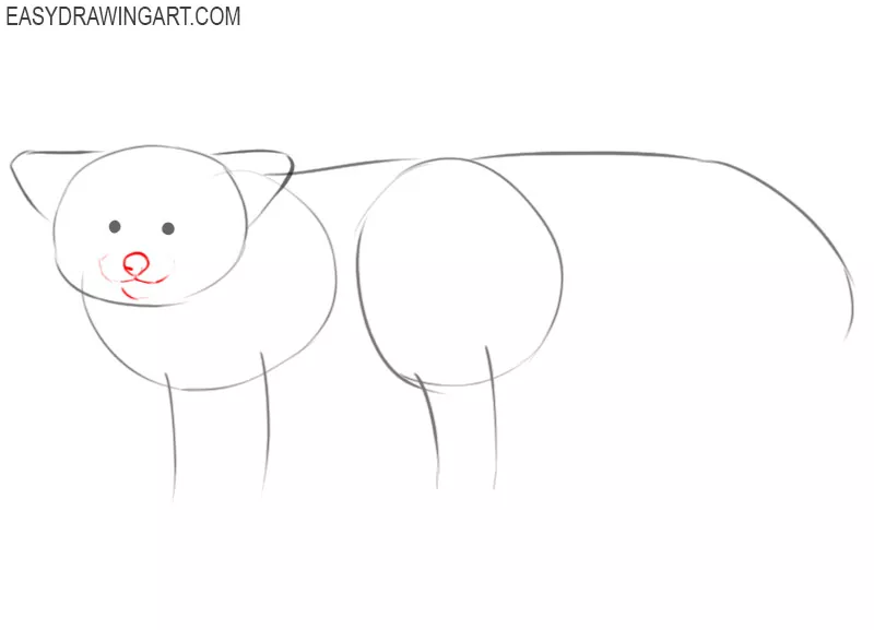 how to draw a red panda cute