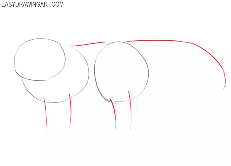 how to draw a red panda easy
