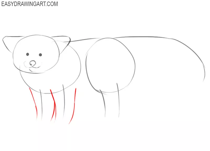 how to draw a red panda realistic