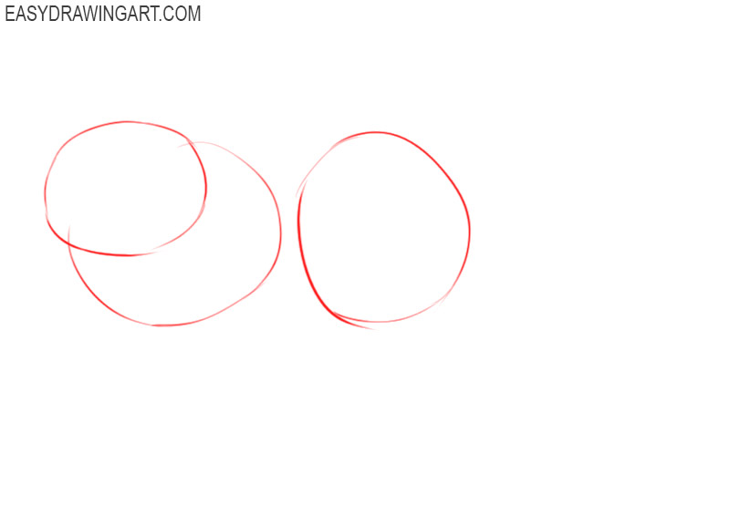 how to draw a red panda step by step
