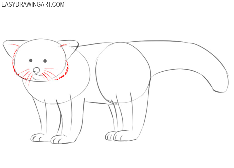 how to draw a cute cartoon red panda