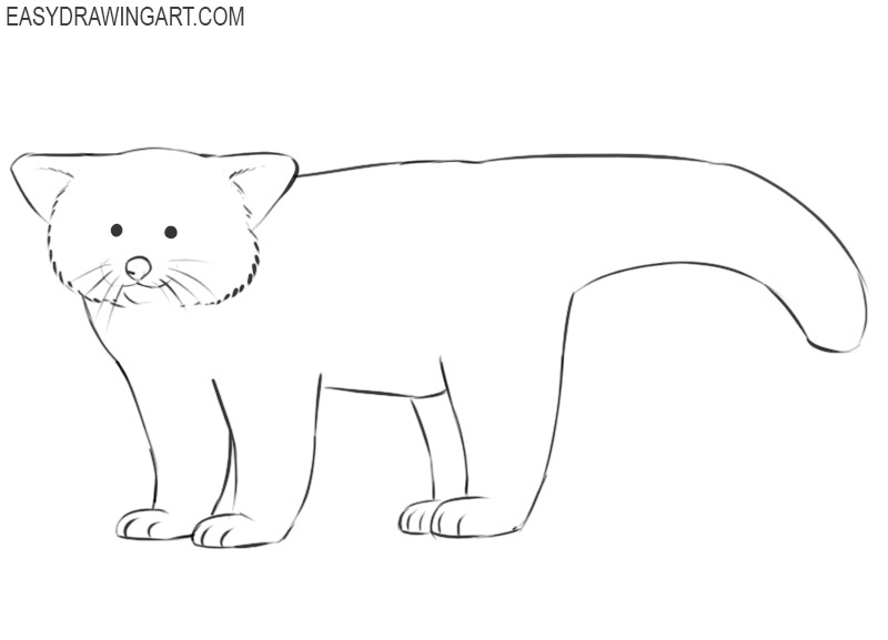 easy way to draw a red panda