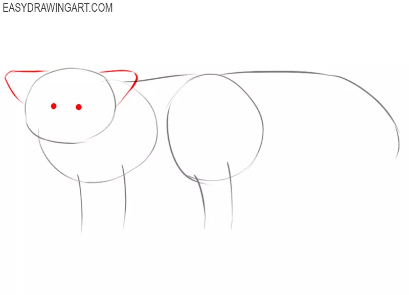 how to draw a red panda step by step easy