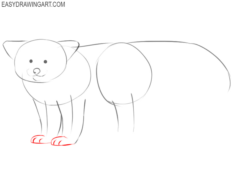 how to draw a red panda cartoon