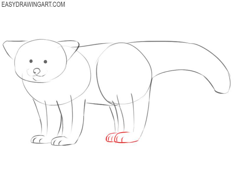 how to draw a cartoon red panda step by step