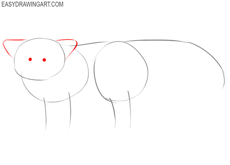 how to draw a red panda step by step easy