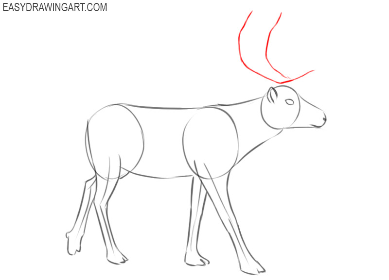 Easy How to Draw a Reindeer Face Tutorial and Coloring Page