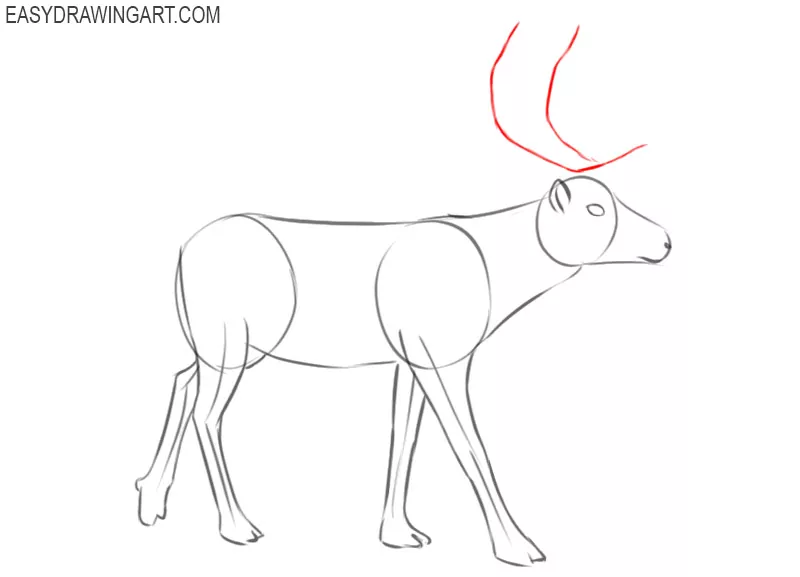 how to draw a reindeer for beginners