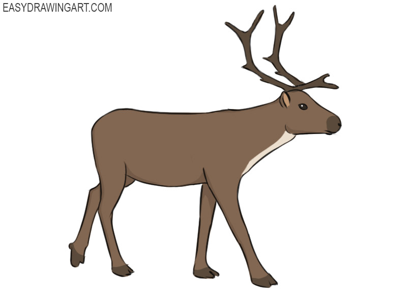 how to draw a reindeer