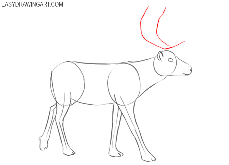 how to draw a reindeer for beginners