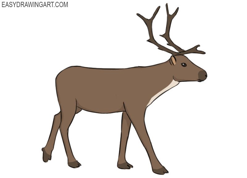 How to Draw a Reindeer - Easy Drawing Art