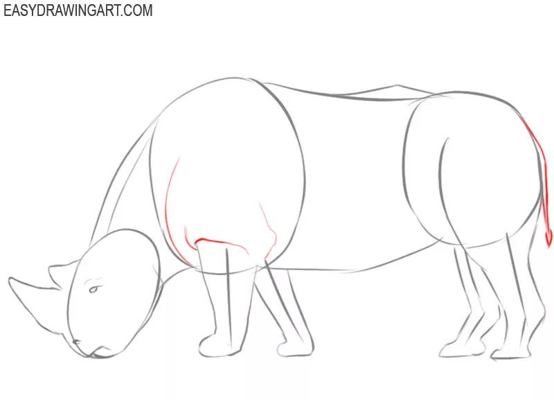 how to draw a rhino easily
