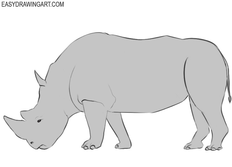 how to draw a rhino
