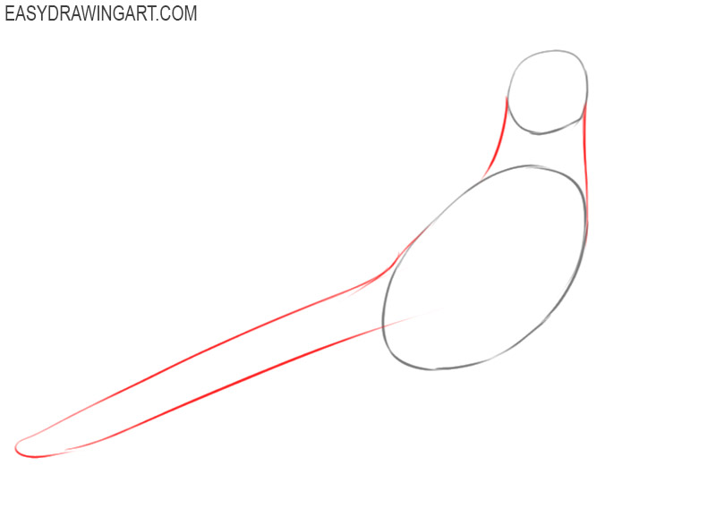 how to draw a roadrunner easy