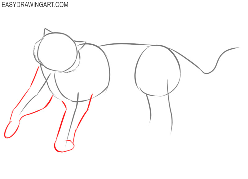 roaring tiger drawing easy