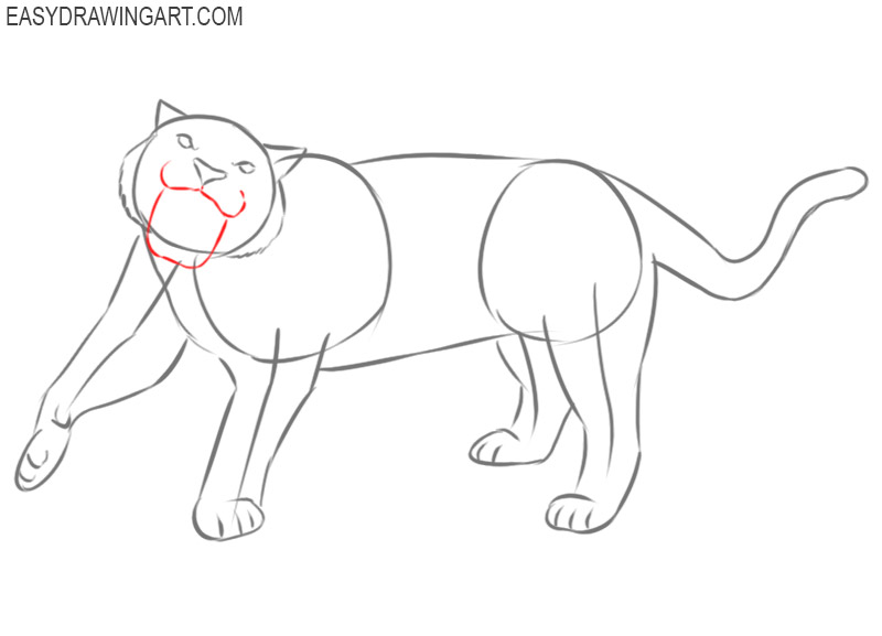 roaring tiger drawing step by step