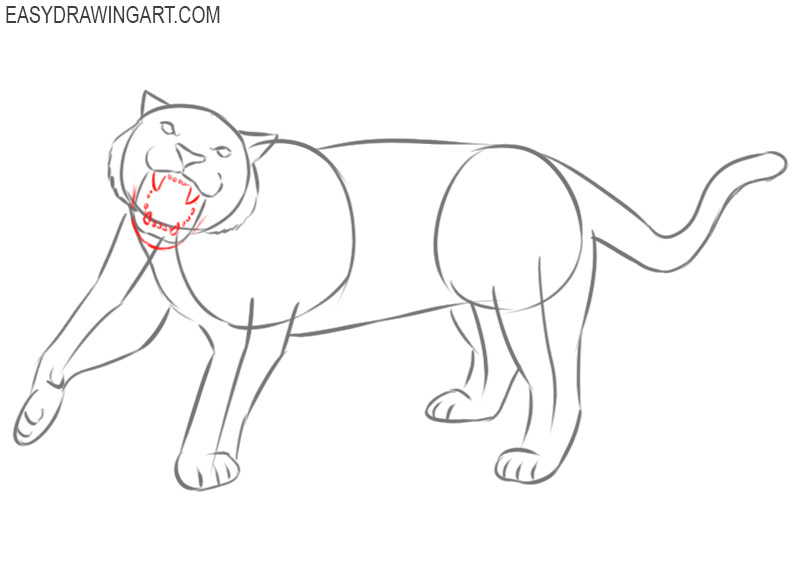 roaring tiger drawing by pencil