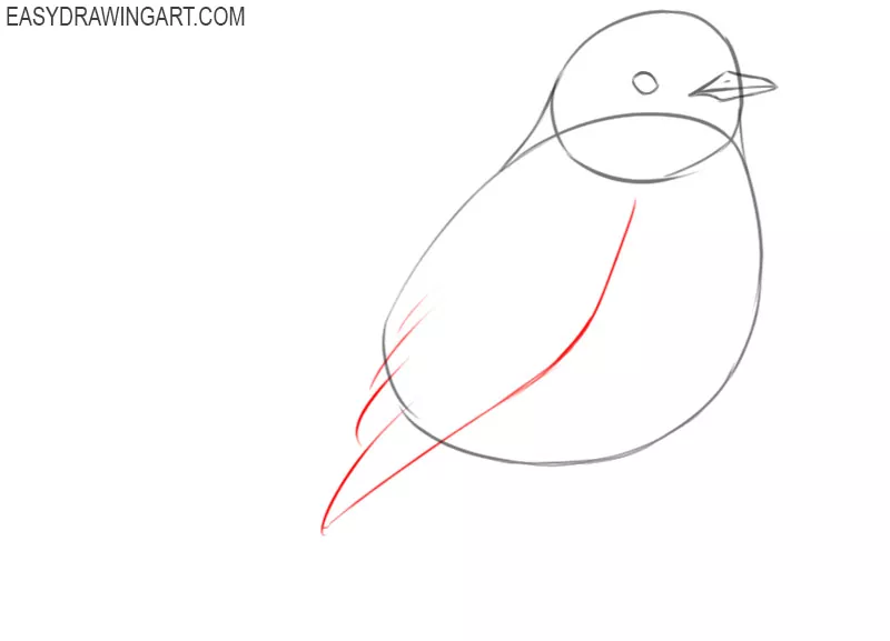 how to draw a robin bird easy