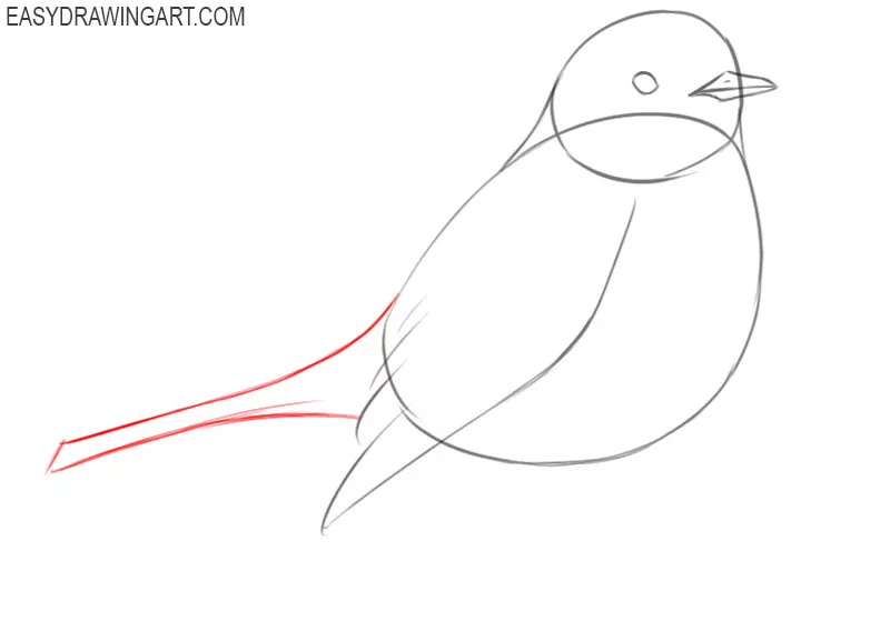 how to draw a robin bird