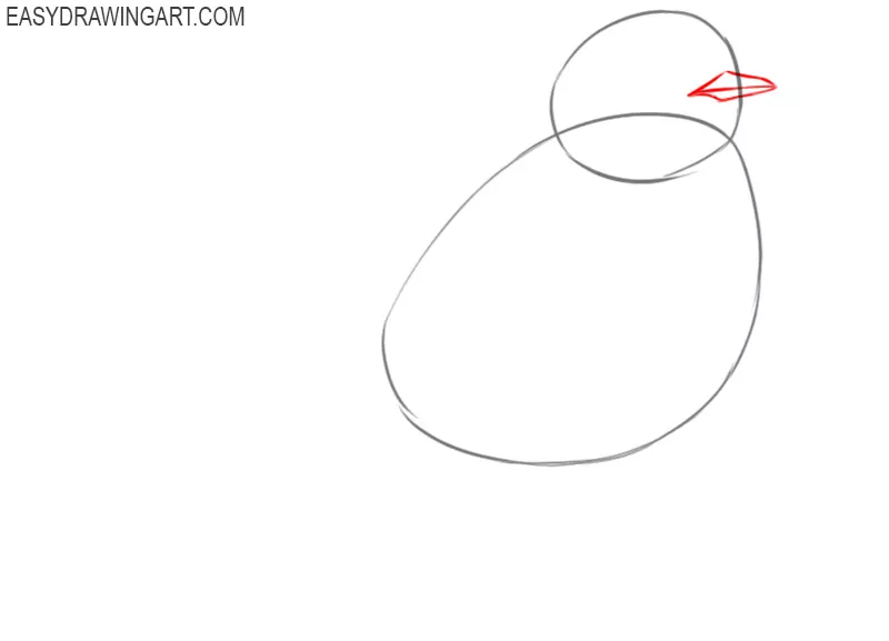 how to draw a robin step by step
