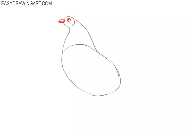how to draw a rooster easy step by step