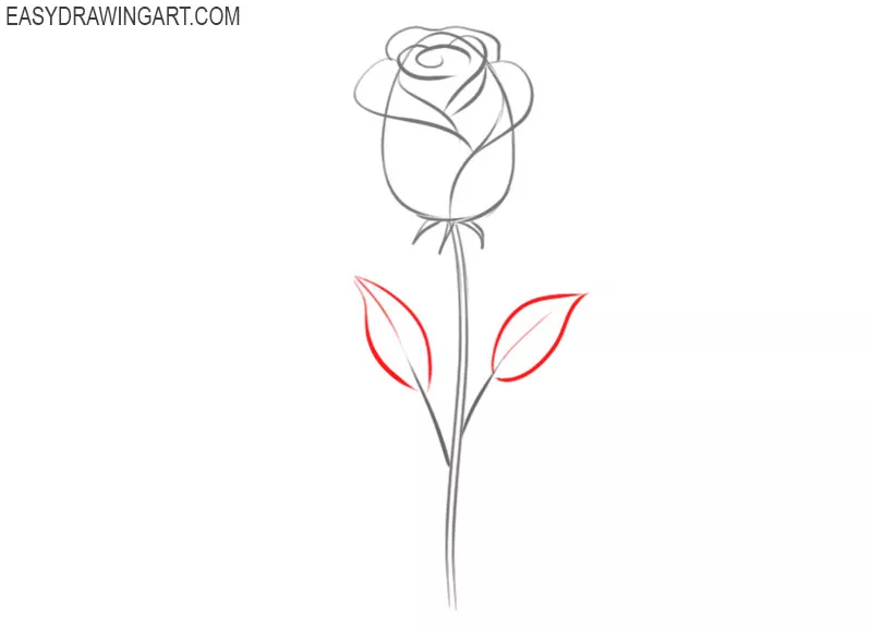 how to draw a rose by draw so cute