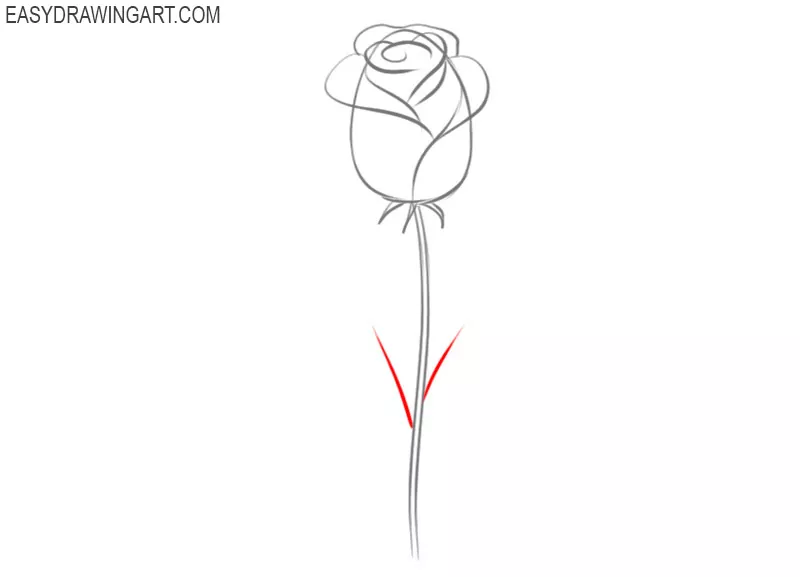 how to draw a rose by steps