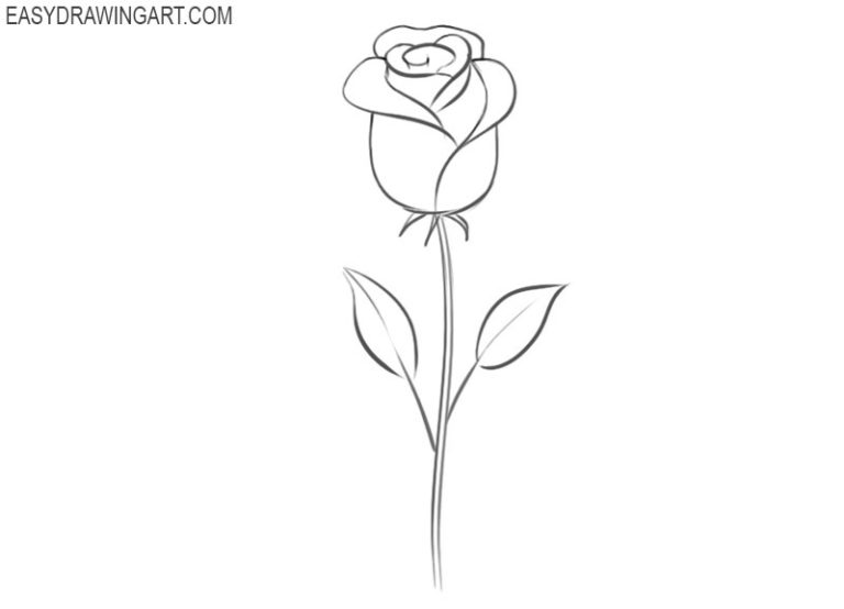 How to Draw a Rose Easy Drawing Art