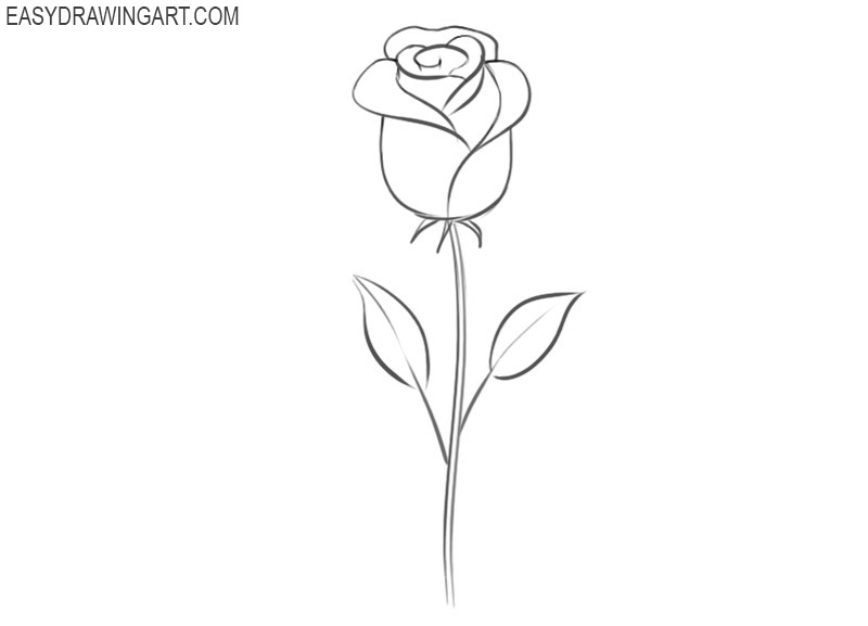 how to draw a rose cartoon