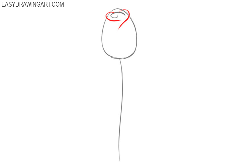 steps of how to draw a rose