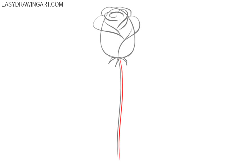 how to draw a rose easy