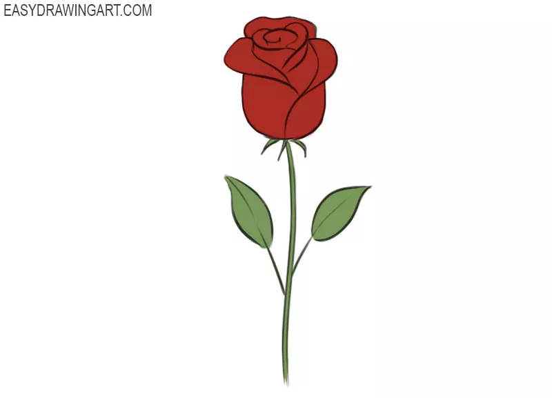 Learn How to Draw a Rose Easy Step-by-Step Video Tutorial-saigonsouth.com.vn