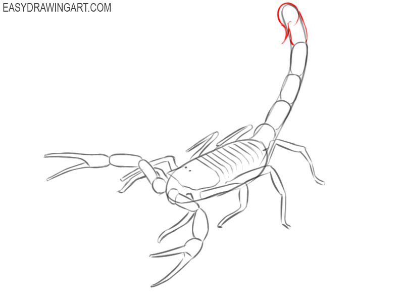 scorpion drawing images
